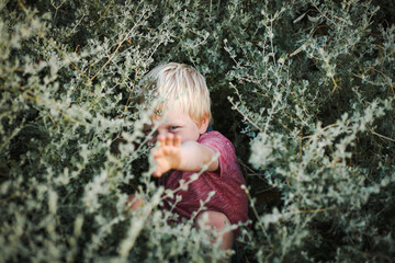 Naklejka premium Cute blonde toddler boy with blue eyes hiding in bush. Child playing in nature with big smile