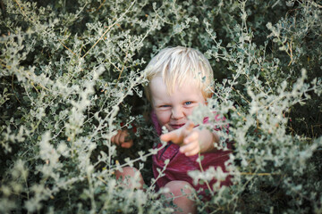 Cute blonde toddler boy with blue eyes hiding in bush. Child playing in nature with big smile