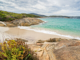 Coastal Scene with Path