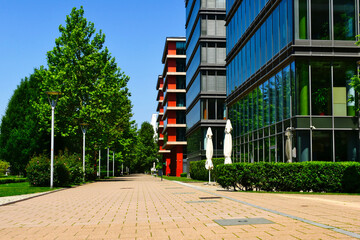 office buildings of glass and aluminum curtain wall in green park setting. paved passage and trees....