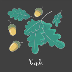 Oak Leaves and Acorns on Black