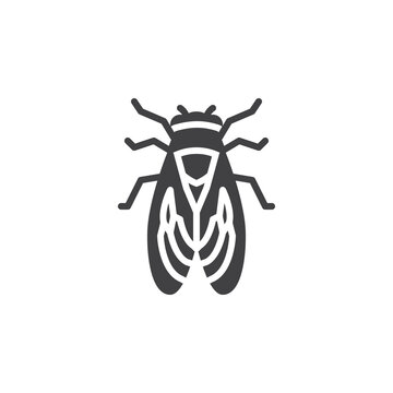 Cicada insect vector icon