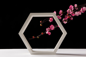 geometric with plum blossom flower on black background. One Showcase. Scene, display. 