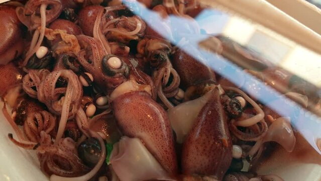 Firefly Hotaru ika squid Japanese seasonal seafood from Toyama Japan marinated in pack