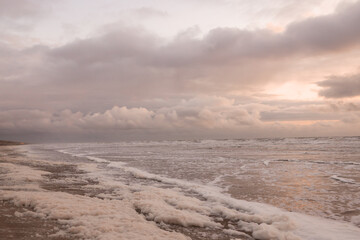 Sea foam along the surf line on the sandy shore of the North Sea at sunset on a windy evening