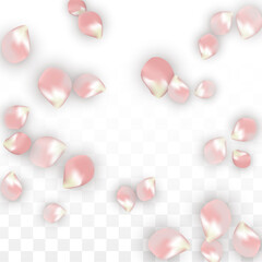 Pink Vector Realistic Petals Falling on Transparent Background.  Spring Romantic Flowers Illustration. Flying Petals. Sakura Spa Design. Blossom Confetti. Design Elements for Wedding Decoration.