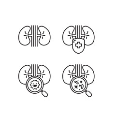 kidneys line icon set of vector