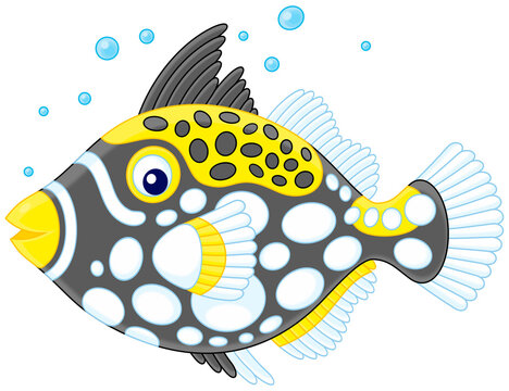 recommend clip art: Funny exotic clown triggerfish of a tropical coral reef, cartoon illustration isolated on a white background