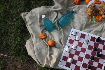 board logic game for family and friends picnic chess, the game is placed on a picnic blanket in...