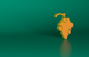 Orange Grape fruit icon isolated on green background. Minimalism concept. 3D render illustration