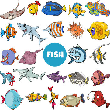 cartoon fish marine animal characters big set