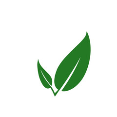 Leaves icon vector set isolated on white background. Ecology icon set