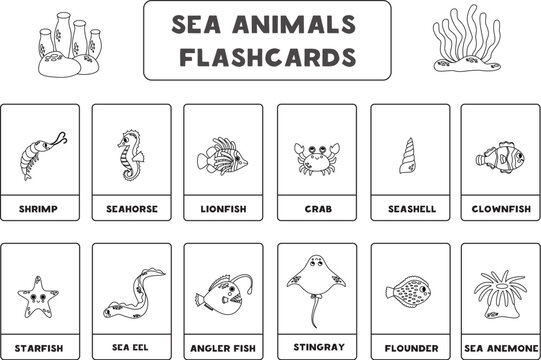 Cute cartoon sea animals with names. Black and white. Flashcards for learning English.