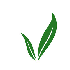 Leaves icon vector set isolated on white background. Ecology icon set