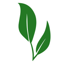 Leaves icon vector set isolated on white background. Ecology icon set