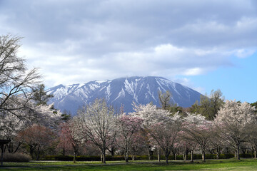Mount Iwate is the highest mountain in Iwate and is one of Japan's 100 Most Beautiful Mountains.