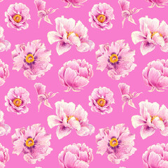 Seamless pattern of pink peonies hand drawn illustration. Hand painted floral elements. Botanical natural objects on pink background.