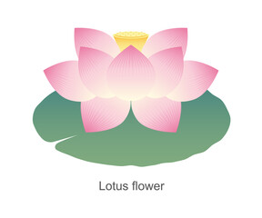 蓮の花のイラスト素材 ベクター お盆 お彼岸 仏事 夏