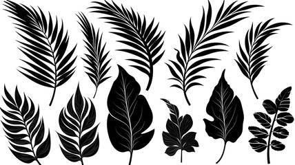Collection of tropical leaves black and white color. generate by AI.
