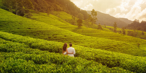 Aerial drone view above tea plantations among mountains with a romantic couple of travelers. Young...