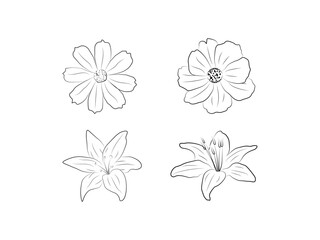 natural drawn simple flower outline illustration	
