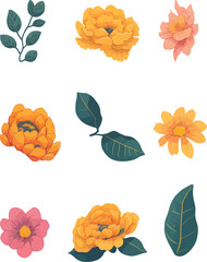 Portulaca Flower Set, Watercolor Flower Design Vector Set