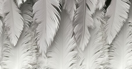 Fototapeta premium White feathers in the background, white feather texture wallpaper