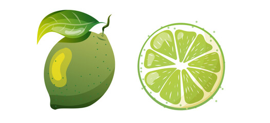 Citron vert vectoriel