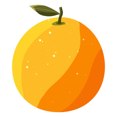 Orange citrus illustration