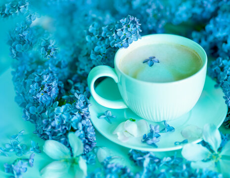 Spring-Summer Images – Browse 2,877 Stock Photos, Vectors, and Video ...