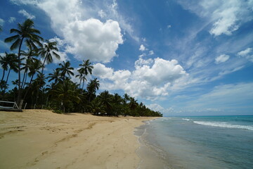 dominican republic, las terrenas, vacations, sea, travel, caribbean