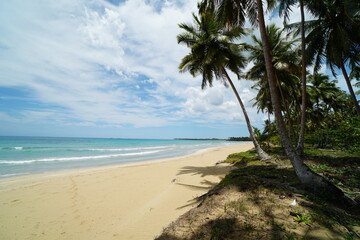dominican republic, las terrenas, vacations, sea, travel, caribbean