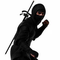 A ninja is in a fighting pose. Traditional ninja style. 3d illustration. © pictosmith
