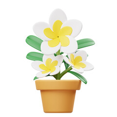 Frangipani 3D Icon
