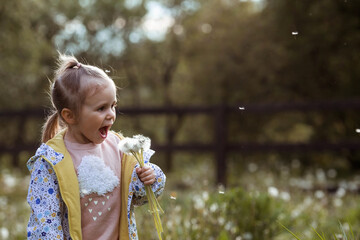 Happy beautiful girl of 3 years blowing on a dandelion on a sunny summer evening. A child in the...