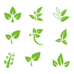 icon logo natural, herbal, organic, ecology, leaves.