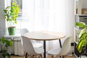The interior of the house with large windows and home plants round table, chairs, white loft. minimalism, white curtain