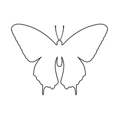 The insect concept is presented in the form of a butterfly silhouette icon on a white background.