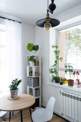 The interior of the house with large windows and home plants round table, chairs, white loft. Houseplant caring for indoor plant, green home