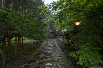 path in the forest in Japan