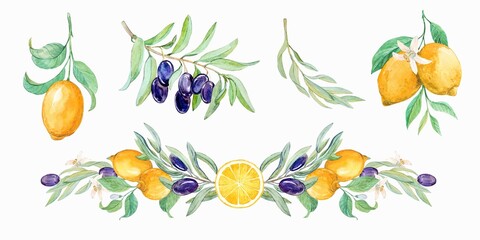A bouquet of individual watercolor and graphic elements in the style of Provence (Mediterranean). Botanical illustration is perfect for weddings printing. A composition of lemons, olives.