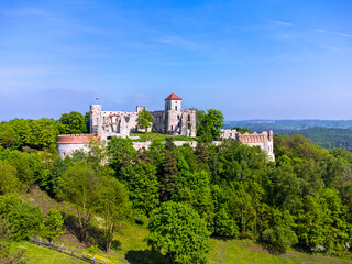 Fototapeta na wymiar Aerial view landscape, Poland ruins of Tenczyn castle in Rudno. Drone photo, forest, park, meadows and view of the castle.