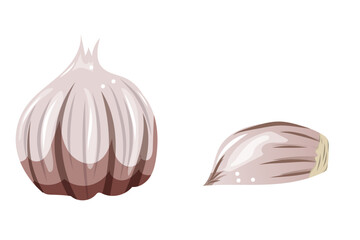 Ail, légumes format vectoriel, clipart, fond transparent