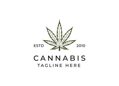 cannabis leaf logo vector icon. Medical marijuana logo emblem. Cannabis emblem logo design