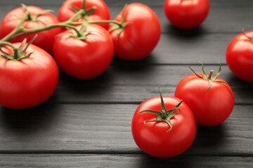 Red, ripe tomatoes on a dark background. Harvesting tomatoes.