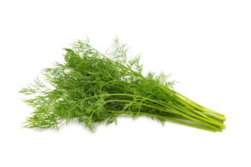 Bunch fresh green dill isolated on white background.