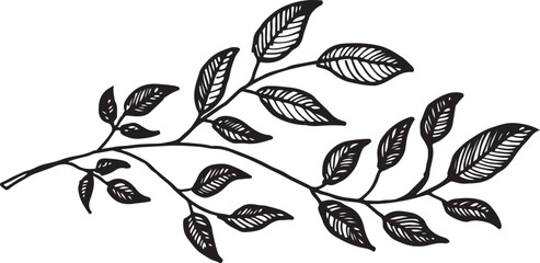 branch of a tree with leaves  engraved vintage retro line art graphic style 