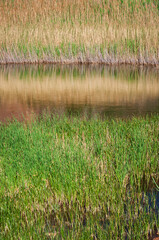 Bottomless Lakes State Park in New Mexico
