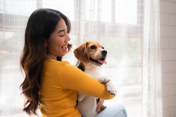 Beagle dog with her owner's girl on a weekend getaway sitting and resting and looking out of the...