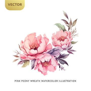 Vintage Pink Peony Flowers Watercolor isolated on white background. Decorative floral element for wedding, valentine or love invitation. Vector illustration